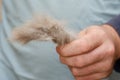 A man is holding a bundle of gray cat hair in his hand. A ball o