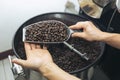 Man holding coffee beans in two hands, checking quality after roasted by modern machine used for roasting beans. Royalty Free Stock Photo