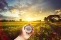 A man holding compass on hand at field and sunset for navigation Royalty Free Stock Photo