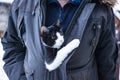 man holding cute little cat under winter coat Royalty Free Stock Photo