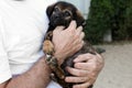 Man holding cute not purebred puppy in the hands.Close up photography.One finger without phalanx,concept of the people with