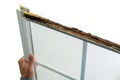 Man holding a damaged window with wet rot