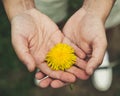 Man holding a dandelion flower Royalty Free Stock Photo