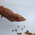 Man holding and dropping from distance of mixed dry fruits isolated on white background