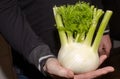 A man holding a fennel Royalty Free Stock Photo