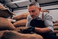 Man holding fragrant coffee beans in a coffee factory. A pile of roasted Arabica grains. Selection of fresh coffee for espresso Royalty Free Stock Photo