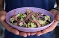 Fresh octopus salad, seafood meal. Royalty Free Stock Photo