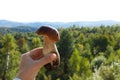 Man holding fresh wild mushroom on sunny autumn day, closeup. Space for text Royalty Free Stock Photo