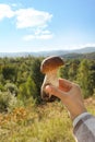 Man holding fresh wild mushroom on sunny autumn day, closeup Royalty Free Stock Photo