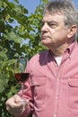 Man Holding a Glass of Red Wine Royalty Free Stock Photo