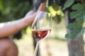 Man holding glass of red wine in vineyard field. Wine tasting in outdoor winery Royalty Free Stock Photo