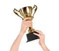 Man holding gold trophy cup on white background, closeup Royalty Free Stock Photo