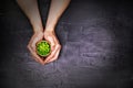 A man holding hands around the flower. The concept of the protection of nature, care Royalty Free Stock Photo