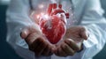 Man holding heart organ as medical study. Medical technology network concept Royalty Free Stock Photo