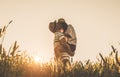 Young couple kissing on the background of a sunset in the wheat field Royalty Free Stock Photo