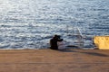 A man is holding his arm around a woman as they sit on a staircase just by the waters edge, looking out to the sea, feeling calm,