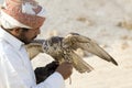 Man holding his falcon before using it to hunt birds