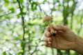 Man holding in his hand mushrooms - autumn scene from Europe