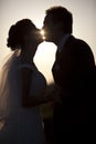 Man holding kissing woman silhouettes evening park Royalty Free Stock Photo