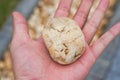 A man holding a large pebble in his hand Royalty Free Stock Photo