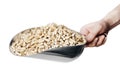 Wood Pellets Royalty Free Stock Photo