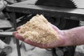 Man holding pile of fresh sawdust in his hand, with chopped wood and circular table saw in the background. Close up of wood