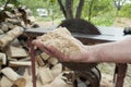 Man holding pile of fresh sawdust in his hand, with chopped wood and circular table saw in the background. Close up of wood