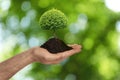 Man holding pile of soil with small tree on blurred green background, closeup. Eco friendly lifestyle Royalty Free Stock Photo