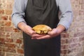 Man holding a pork pie Royalty Free Stock Photo