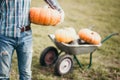 Man holding pumkin in his hand. Retro style photo Royalty Free Stock Photo