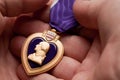 Man Holding Purple Heart War Medal Royalty Free Stock Photo