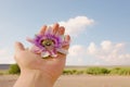 Man holding a purple passion flower (Passiflora incarnata) in his palm Royalty Free Stock Photo