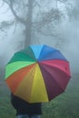 Man holding rainbow colored umbrella on foggy day in autumn with blurred background Royalty Free Stock Photo