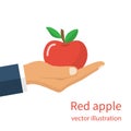 Man holding red apple