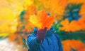 Man holding red autumn leaf in hand closeup. Maple fall leaves in park. Hello october concept Nature change mood. Yellow Royalty Free Stock Photo