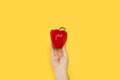 Man holding a red bell pepper Royalty Free Stock Photo