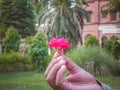 Man holding a red rose , proposal concept , valentine& x27;s day , rose day concept , giving respect beautiful background nature.