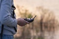 Man holding remote control and navigating small drone, blurred sunset light in the background.