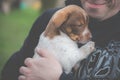 Man holding small dog Royalty Free Stock Photo