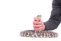 Man holding snake Royalty Free Stock Photo