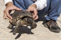 A man is holding a tortoise in his hands Royalty Free Stock Photo