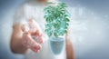 Man holding and touching holographic projection of a plant with digital analysis 3D rendering