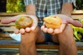 `pasticciotto`, the typical Apulian dessert of Salento. Lecce, Italy