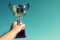 Man holding up a trophy cup as a winner Royalty Free Stock Photo