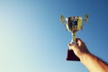 Man holding up a trophy cup as a winner against the sky Royalty Free Stock Photo