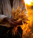 A man holding wheat on the field at sunset. A man holding a bundle of wheat in his hands Royalty Free Stock Photo
