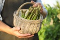 Man holding wicker basket with fresh raw asparagus outdoors, closeup Royalty Free Stock Photo
