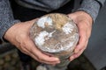 Man is holding a wrapped tree stub with clear film