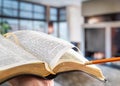 A man holds a Bible with a pencil, against the background of the living room. Reading a book in a cozy atmosphere Royalty Free Stock Photo