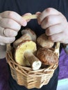 A man holds with both hands a basket full of porcini mushrooms